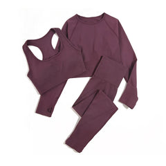 WAREBALL Seamless Yoga Set – 2/3/4pcs Women's Gym Workout Tracksuit