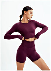 WAREBALL Seamless Yoga Set – 2/3/4pcs Women's Gym Workout Tracksuit
