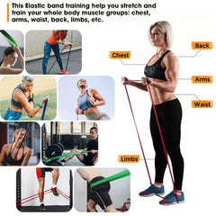 5–120lbs Resistance Band – Heavy-Duty Workout Band for Boxing, Fitness & Yoga