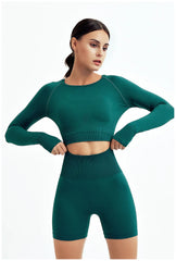WAREBALL Seamless Yoga Set – 2/3/4pcs Women's Gym Workout Tracksuit