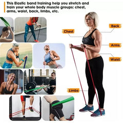 5–120lbs Resistance Band – Heavy-Duty Workout Band for Boxing, Fitness & Yoga