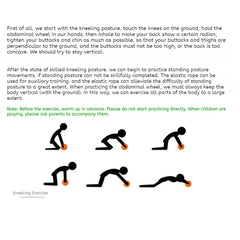 Ab Roller Wheel – Core Exercise Equipment for Home Gym Workouts